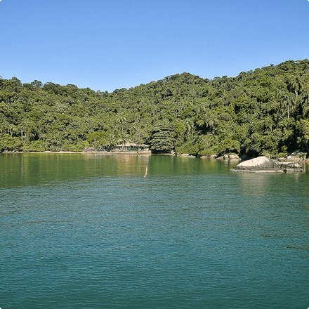 Foto do mar e uma vegetação verde ao fundo e algumas pedras.