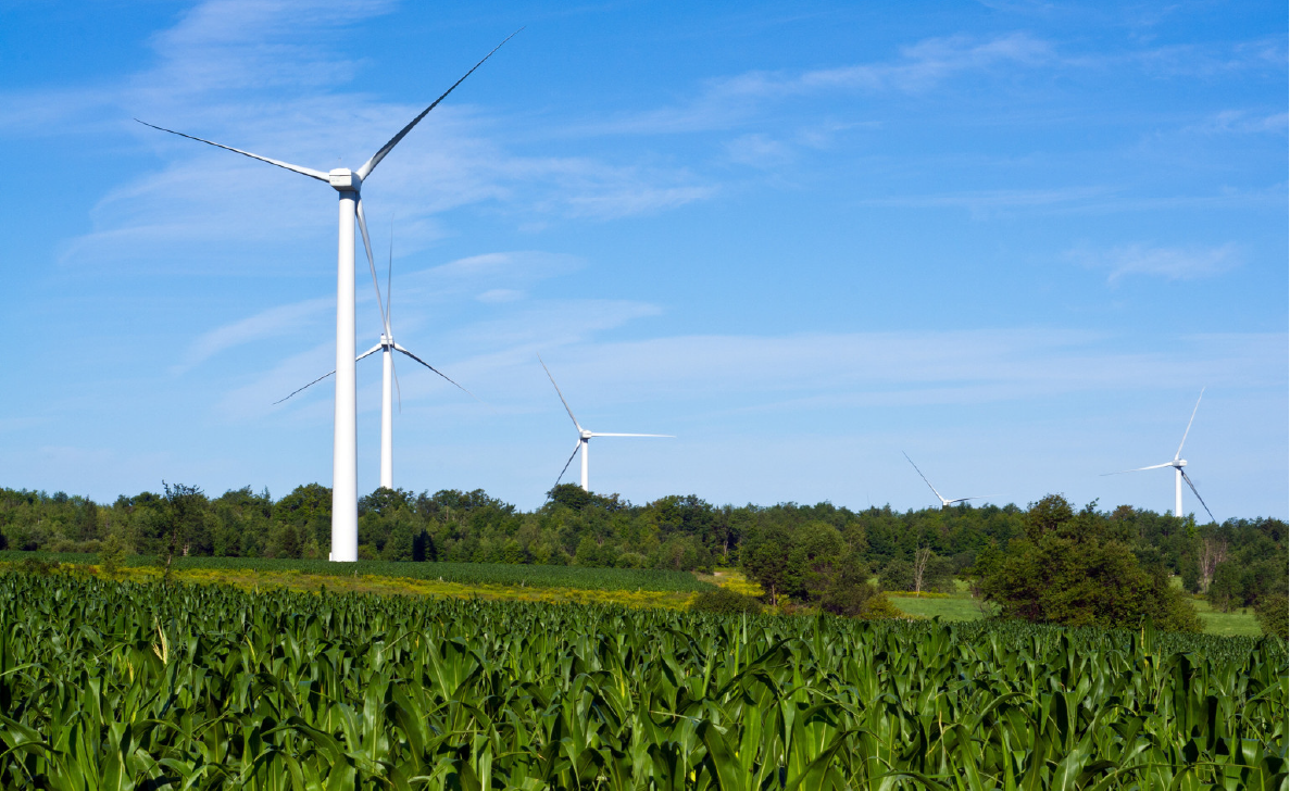 Diversas turbinas de energia eólica em um espaço com grama e céu azul