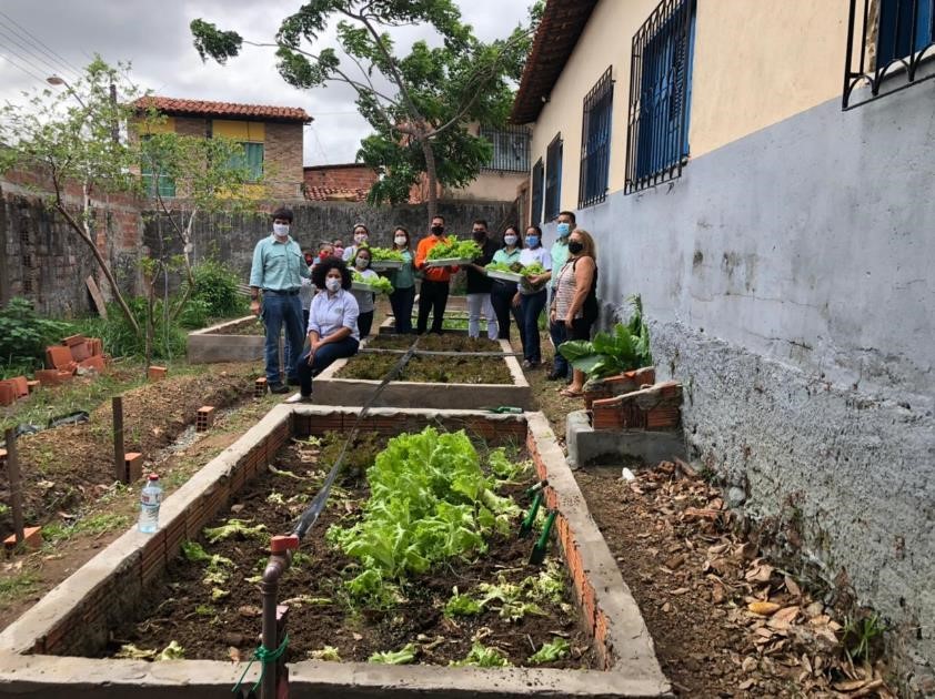 Image of the school garden. In the background, several people are gathered and some hold lettuces harvested from the site.