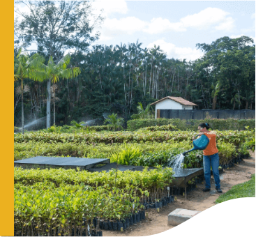 Uma mulher de calça jeans e camiseta laranja segura um regador azul e joga água em plantas que estão à sua frente. Ao fundo está uma casa branca e um espaço cheio de plantas e árvores.