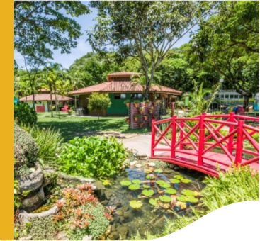 Photo of a park on a sunny day with trees, plants and a lake with a red bridge.