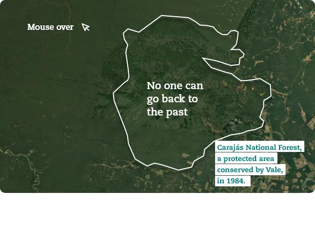 Aerial view of a map with a line around it demarcating the Carajás National Forest.