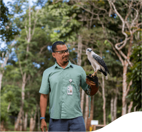 A man standing a space with trees. A bird landed on one of his hands. The man is wearing jeans, a light green shirt and a badge.