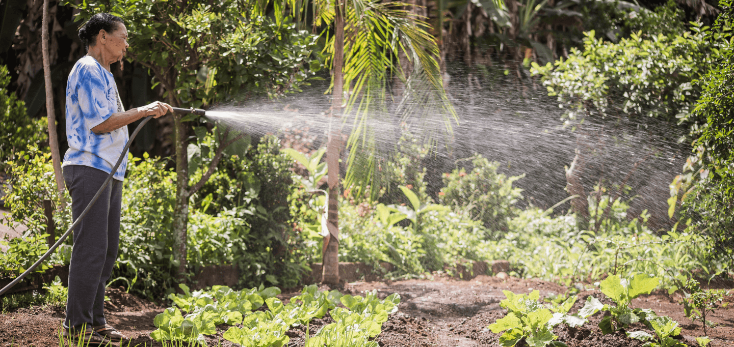 A lady is using a hose to water a vegetable garden. There are several trees around.
