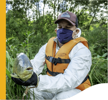 Em uma área de vegetação, um homem de boné, máscara facial, colete e luvas, segura um peixe.