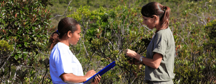 Em uma área de vegetação, duas mulheres estão frente a frente conversando, uma delas segura uma prancheta nas mãos e a outra mexe em uma árvore.