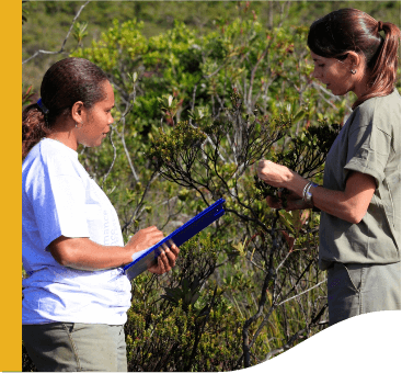 Em uma área de vegetação, duas mulheres estão frente a frente conversando, uma delas segura uma prancheta nas mãos e a outra mexe em uma árvore.