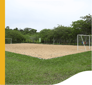 Beach soccer field. Around the place, there is a lawn, and in the background, trees.