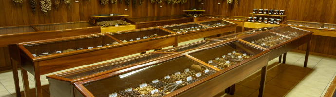 In a room lined with wood, there are several “tables”, covered with glass, displaying different kinds of fruits.