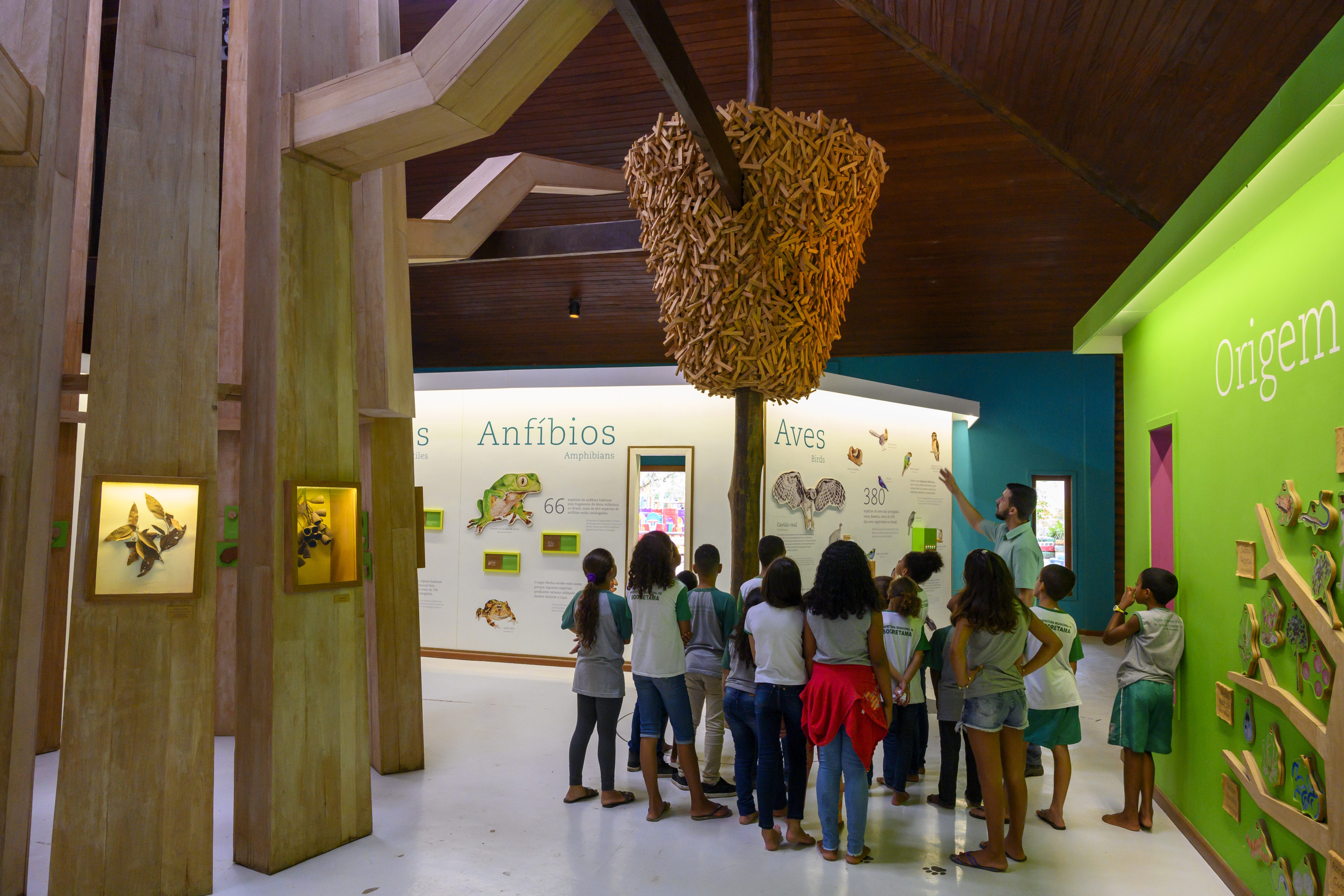 Crianças e um guia da Vale em uma sala com paredes escritas com informações sobre anfíbios, aves e alguns insetos expostos