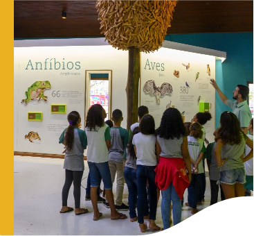 Several children in school uniforms watch an exhibition. On the wall, there is data about amphibians and birds. On the ceiling, there is a wooden sculpture similar to a hive.