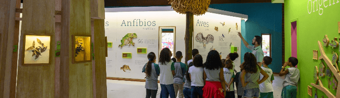 Several children in school uniforms watch an exhibition. On the wall, there is data about amphibians and birds. On the ceiling, there is a wooden sculpture similar to a hive.