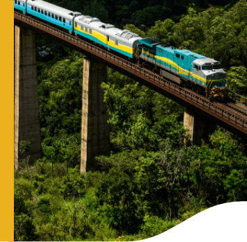 Trem Vale sob uma ferrovia elevada. Ao redor, há uma densa vegetação.