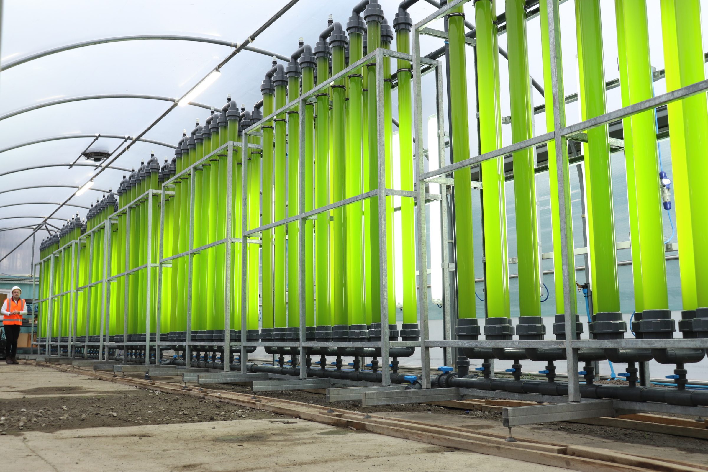 Onsite algae farm