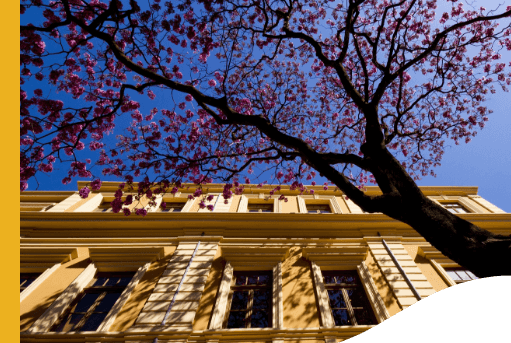 Foto tirada debaixo para cima do Memorial Vale. É possível ver uma parte da fachada, com cerca de seis janelas e uma árvore florida na frente.