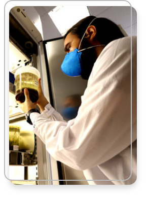 A man wearing a protective mask and lab coat analyzes the substance inside a scientific pot.