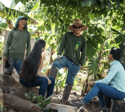 Em uma área de vegetação, três homens e duas mulheres conversam. Os homens estão de camiseta verde escura de manga longa, proteção contra o sol na cabeça - como chapéu e boné - e usam óculos e luva.