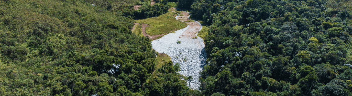 Barragem sendo descaracterizada e com vegetação ao redor.