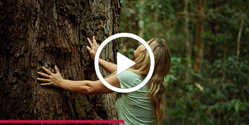 Mulher apoia as duas mãos em tronco de árvore enquanto olha para a parte superior da árvore.