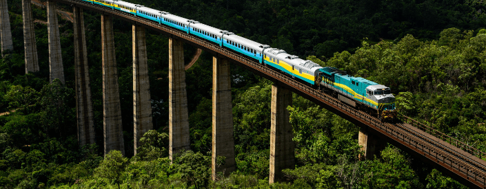 Vale Train going along an elevated railroad. All around it is possible to see a mountainous landscape full of vegetation.