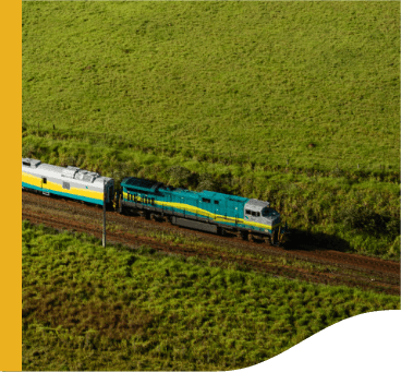 Vale Train running on railroad tracks. All around is a vast undergrowth.