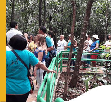 Several people walk a trail. The site is protected by a handrail and there are several trees around it.