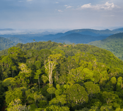 Espaço repleto de árvores e montanhas.