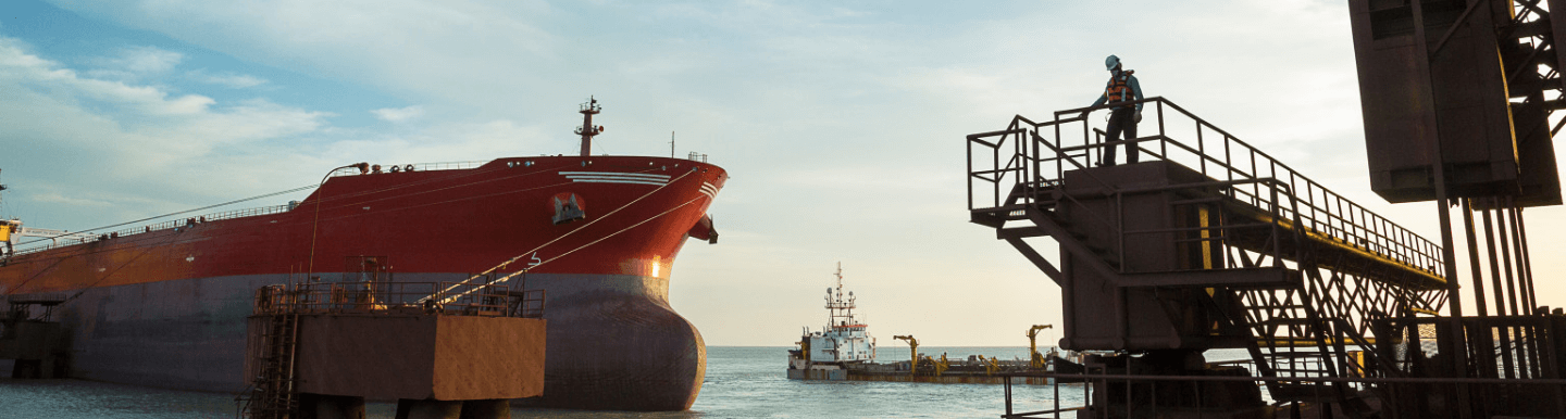 Image of a port where a ship is docked, and in the right corner of the photo, there is a man on top of a metal structure of the operation, wearing Vale uniform.