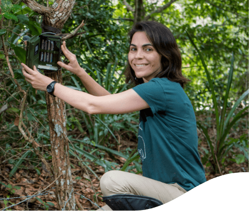 Mulher agachada em um espaço com várias árvores. Ela está colocando um aparelho no tronco de uma dessas árvores e olha para a foto sorrindo. Seus cabelos estão soltos e ela usa camiseta verde.