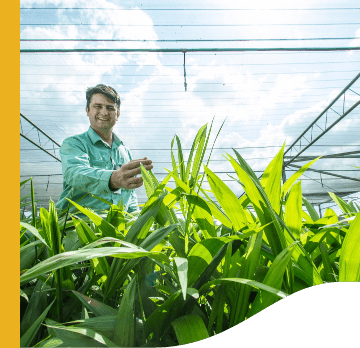 A man wears a shirt in a light shade of green. He is smiling and touching some plants that are in front of him.