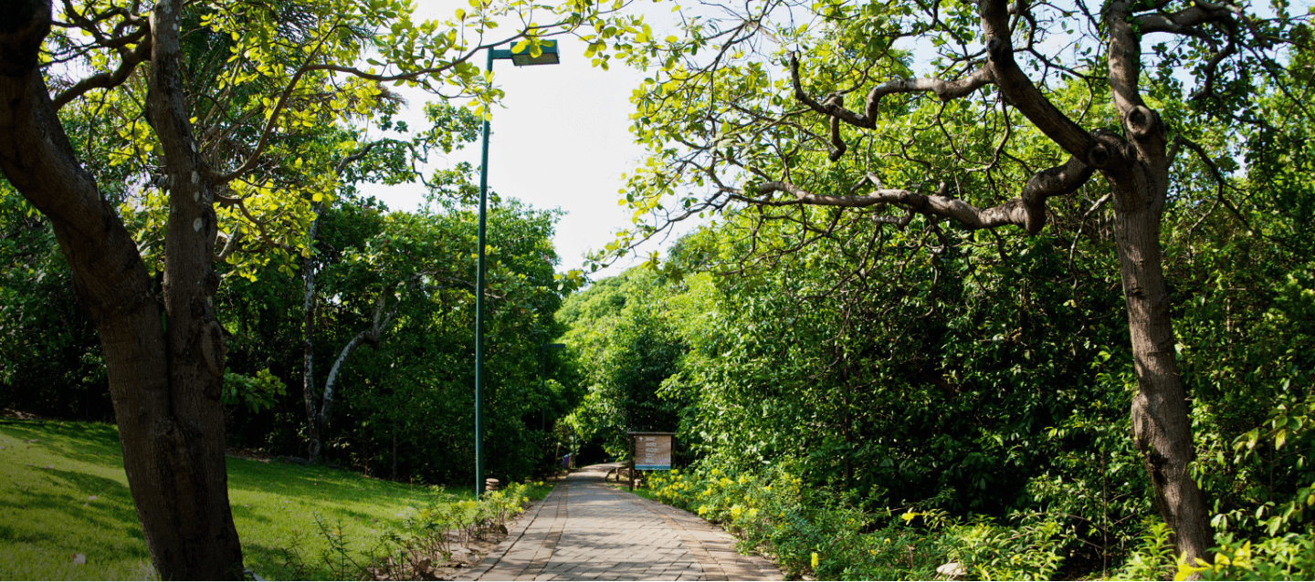 Foto do parque botânico são luís