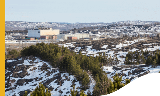 Vista de Ontario. A cidade está coberta por neve e há bastante vegetação.