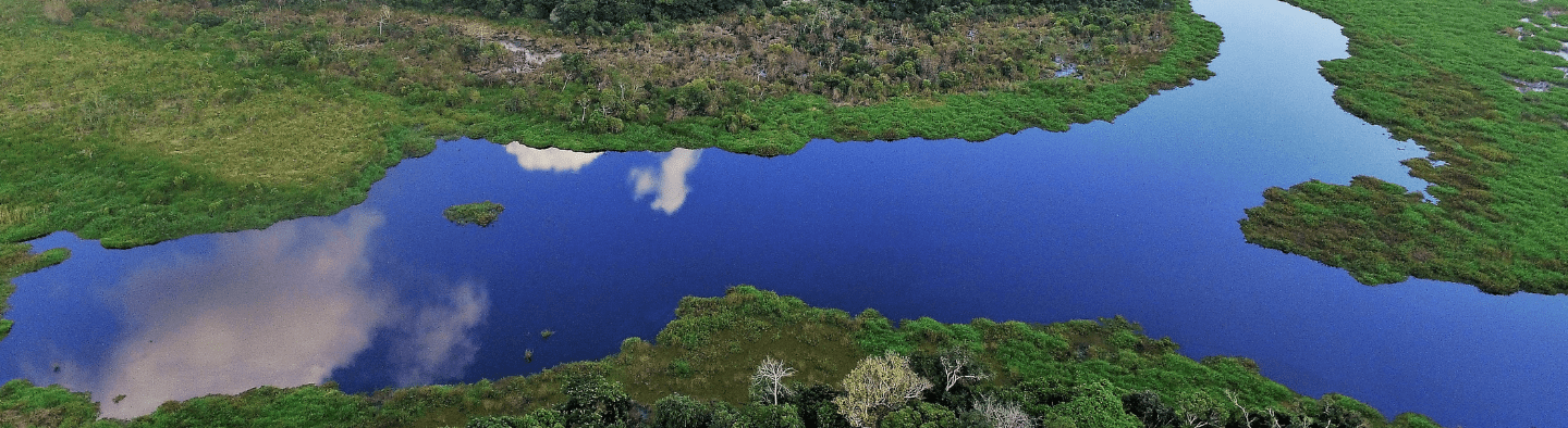 Aerial image of a river with surrounding vegetation