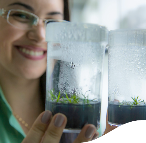 Em primeiro plano, há dois pontes com sementes germinando, ao fundo uma mulher – que segura os potes – sorri. Ela usa óculos e uma correntinha.