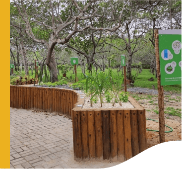 In place with trees, there is a flower bed made of wood with some seedlings. Next to it, there is also a sign with information about the sensory garden.