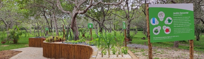 Em local arborizado, há um canteiro feito de madeira com algumas mudas. Ao lado, há também uma placa com informações sobre o jardim sensorial.