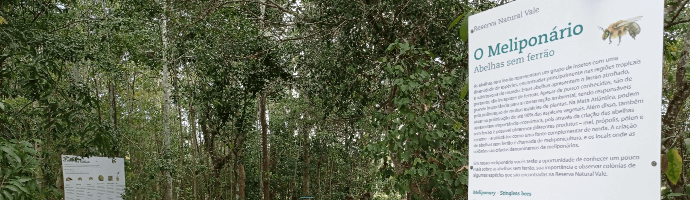 Em um caminho arborizado, com chão repleto de folhas, há uma placa com informações sobre o Melipolinário.