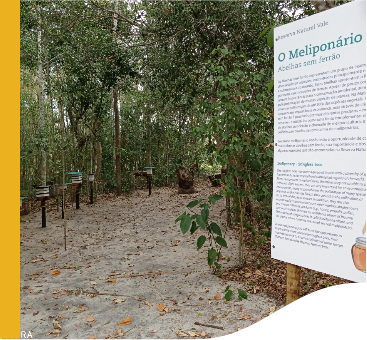 On a path with trees, with the ground full of leaves, there is a sign with information about Meliponary.