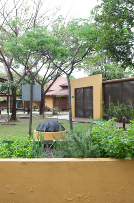 Photo of an outdoor garden with a vegetable garden and trees in the background