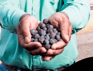 A hand and holding small pieces of ore.