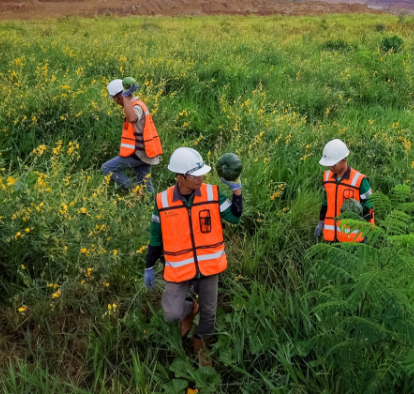 Uniformed employees with protective equipment explore field