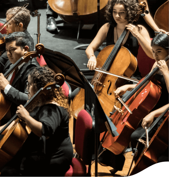 Orchestra dressed in black. You can see two men and three women, all playing the cello.