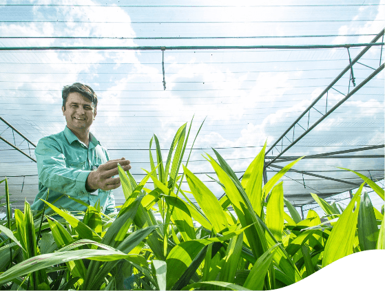 Empregado Vale dentro de uma estufa com diversas plantas. Ele está de uniforme verde e sorri.