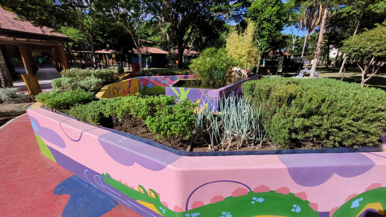 Foto de um Jardim sensorial com vários tipos de plantas verdes pequenas em um muro baixo desenhado, em um dia ensolarado.