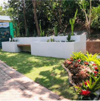 On a lawn, there is a white concrete structure with cacti. In the background, several trees.