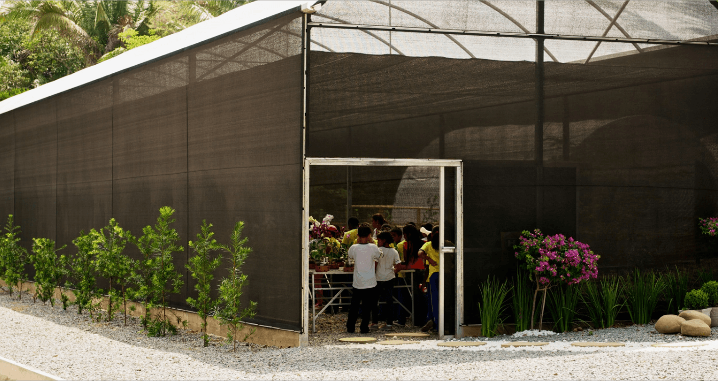 Entrance to a greenhouse with flowers, it is already possible to see that there are children inside the space