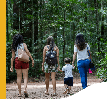 Três mulheres e um menino estão caminhando por um ambiente repleto de árvores. Todos estão de costas para foto.