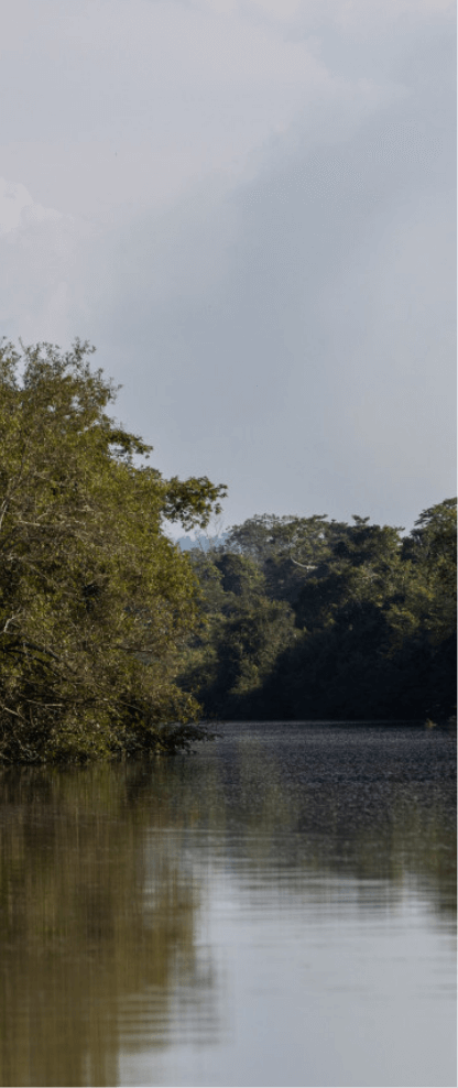 Imagem de um rio com águas escuras. Ao lado, há uma densa vegetação.