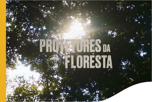 Protetores da Floresta