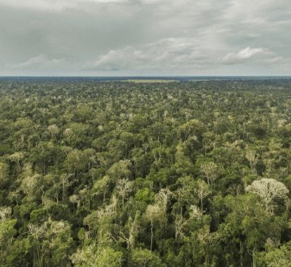 Imagem aérea de um rio com vegetação em volta